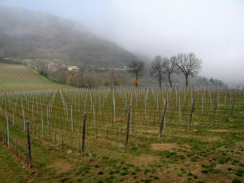 Chiesetta San Lorenzo a Villa del Ferro San Germano dei Berici