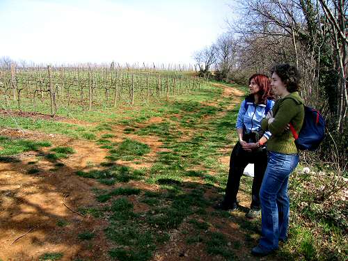 Villa del Ferro San Germano dei Berici