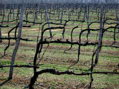 Villa del Ferro San Germano dei Berici