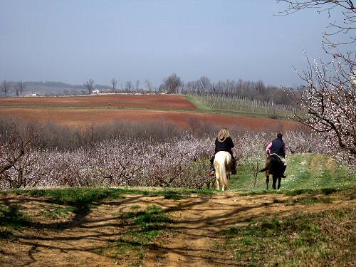 San Germano - Monti Berici - Vicenza