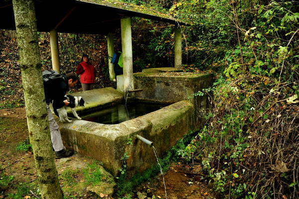 vigneti e colori d'autunno nelle colline di Sarego, monti Berici