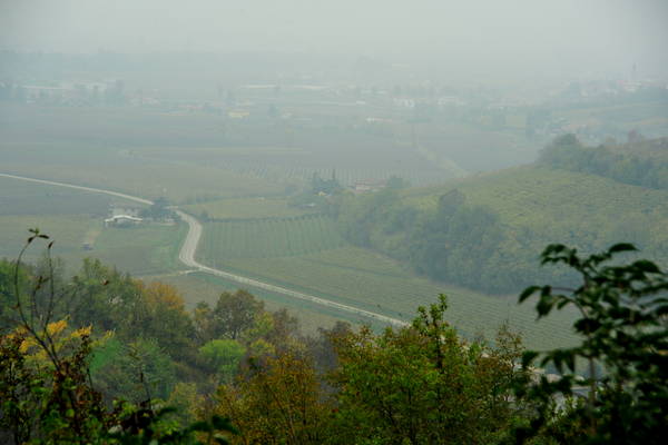 vigneti e colori d'autunno nelle colline di Sarego, monti Berici