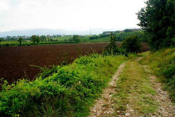 giro ciclistico nella campagna di Sarego, Meledo, Monticello di Fara, Lonigo