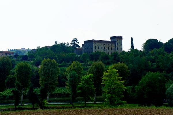 giro ciclistico nella campagna di Sarego, Meledo, Monticello di Fara, Lonigo