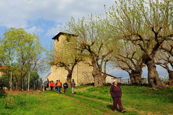primavera nei colli di Sarego e Grancona, monti Berici occidentali settore Lonigo