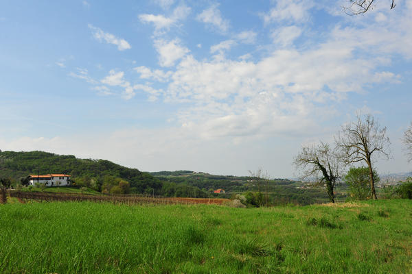 primavera nei colli di Sarego e Grancona, monti Berici occidentali settore Lonigo