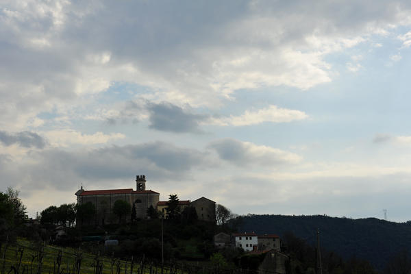 primavera nei colli di Sarego e Grancona, monti Berici occidentali settore Lonigo