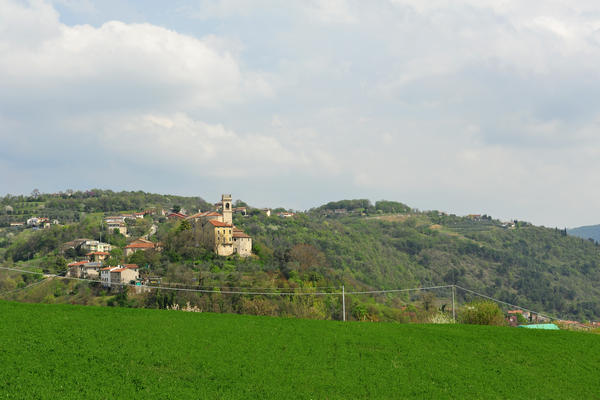 primavera nei colli di Sarego e Grancona, monti Berici occidentali settore Lonigo