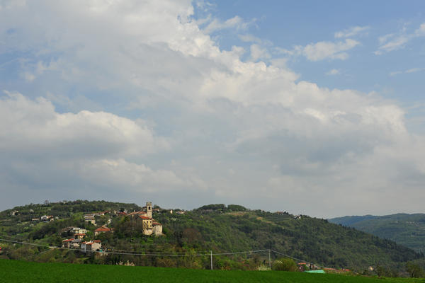 primavera nei colli di Sarego e Grancona, monti Berici occidentali settore Lonigo