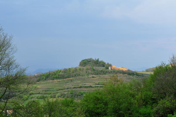 primavera nei colli di Sarego e Grancona, monti Berici occidentali settore Lonigo