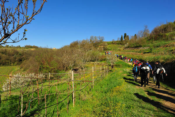 Sossano, Campolongo Val Liona, monte Cistorello, Riveselle Toara