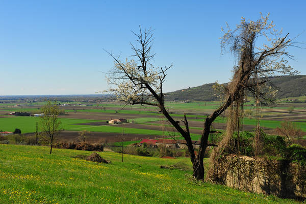 Sossano, Campolongo Val Liona, monte Cistorello, Riveselle Toara