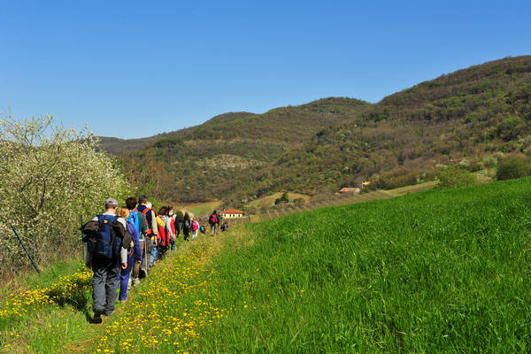 Sossano, Campolongo Val Liona, monte Cistorello, Riveselle Toara
