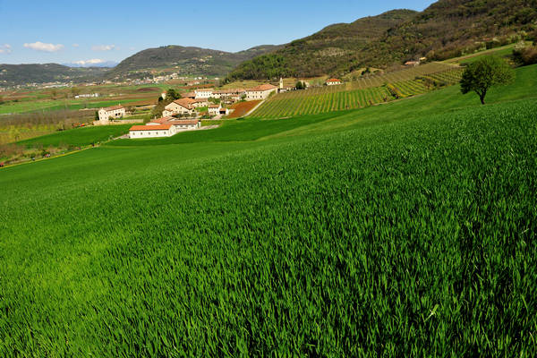 Sossano, Campolongo Val Liona, monte Cistorello, Riveselle Toara