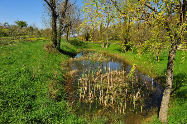 Sossano, Campolongo Val Liona, monte Cistorello, Riveselle Toara