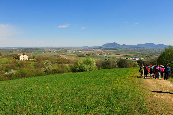 Sossano, Campolongo Val Liona, monte Cistorello, Riveselle Toara