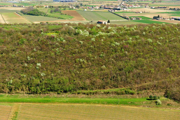 Sossano, Campolongo Val Liona, monte Cistorello, Riveselle Toara