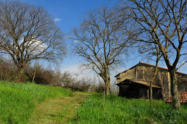 Sossano, Campolongo Val Liona, monte Cistorello, Riveselle Toara