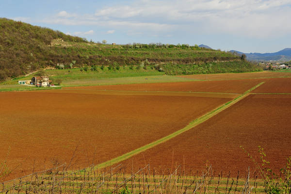 Sossano, Campolongo Val Liona, monte Cistorello, Riveselle Toara
