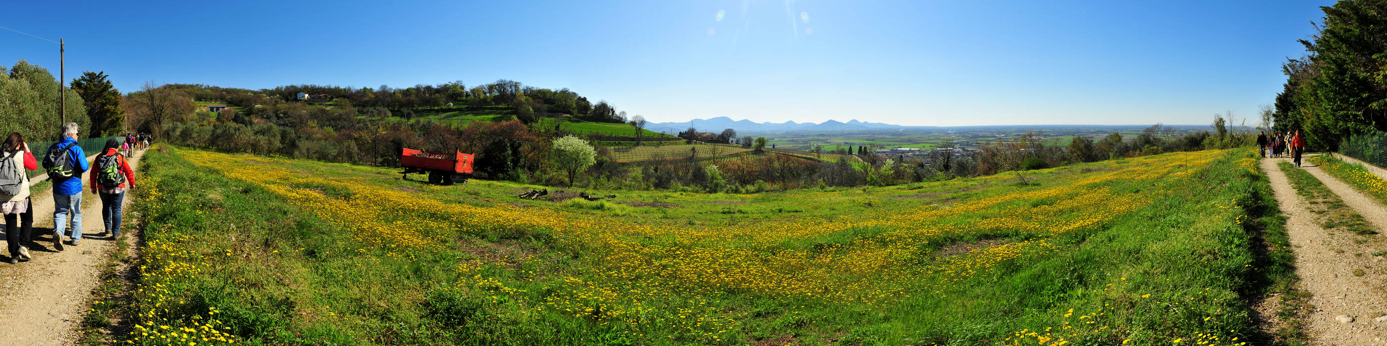 Sossano, Colli Berici, Vicenza