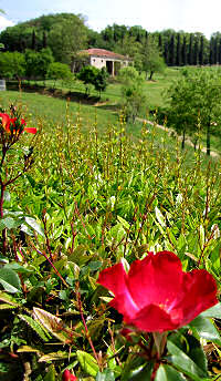 Rocca Pisana a Lonigo
