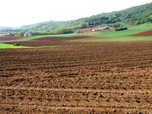 monti di Lonigo e Sarego, Val Liona, Pozzolo, Grancona