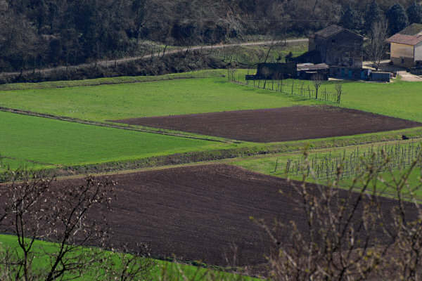 Grancona e la Val Liona nei Colli Berici