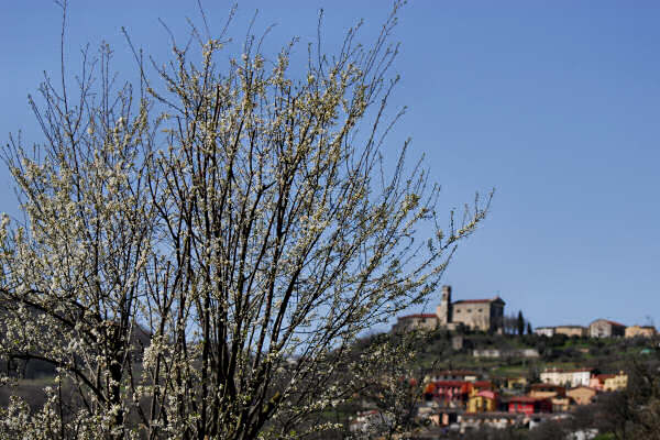 Grancona e la Val Liona nei Colli Berici