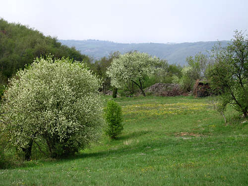 Altopiano di Pozzolo, Villaga - Monti Berici