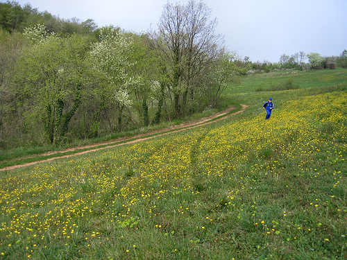 Altopiano di Pozzolo, Villaga - Monti Berici