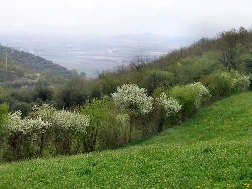Altopiano di Pozzolo, Villaga - Monti Berici