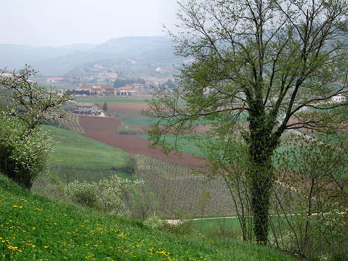 Altopiano di Pozzolo, Villaga - Monti Berici
