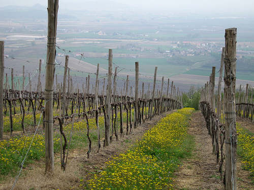Altopiano di Pozzolo, Villaga - Monti Berici