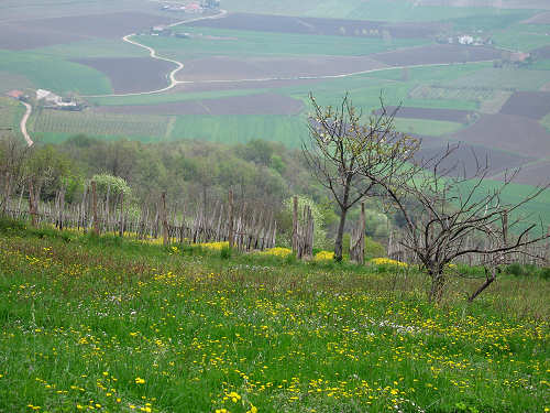 Altopiano di Pozzolo, Villaga - Monti Berici