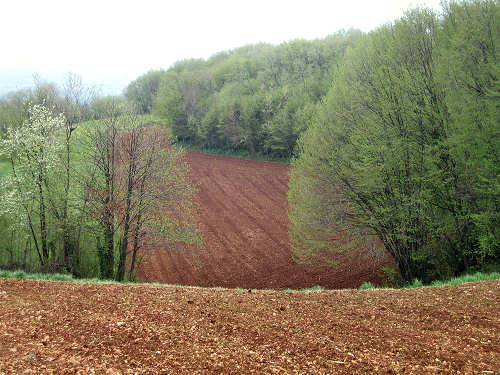 Altopiano di Pozzolo, Villaga - Monti Berici