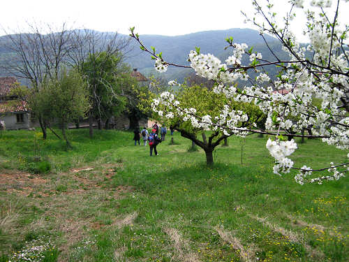 Altopiano di Pozzolo, Villaga - Monti Berici