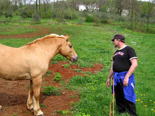 Altopiano di Pozzolo, Villaga - Monti Berici