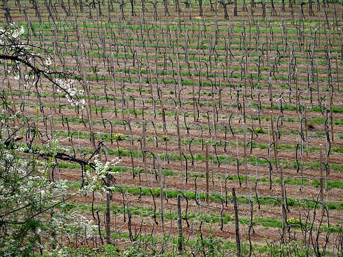 Altopiano di Pozzolo, Villaga - Monti Berici