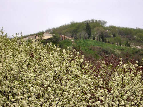 Altopiano di Pozzolo, Villaga - Monti Berici