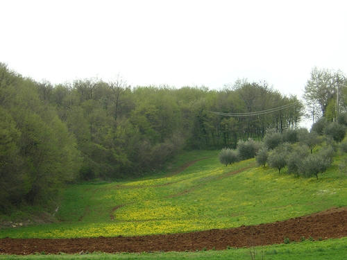 Altopiano di Pozzolo, Villaga - Monti Berici