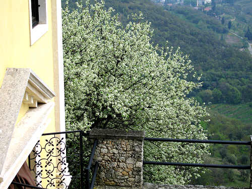 Eremo di San Donato, Villaga - Monti Berici