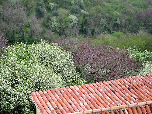Eremo di San Donato, Villaga - Monti Berici