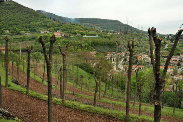 Eremo San Donato Villaga Pozzolo Scudellette Barbarano