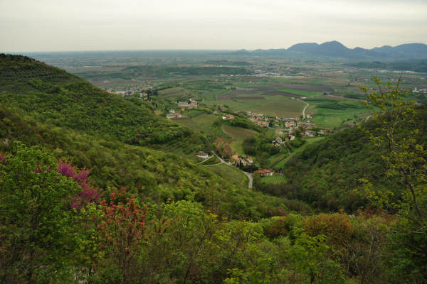 Eremo San Donato Villaga Pozzolo Scudellette Barbarano