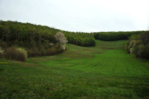 Eremo San Donato Villaga Pozzolo Scudellette Barbarano