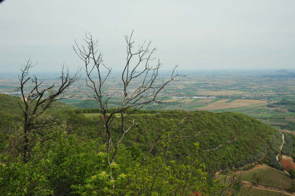 Eremo San Donato Villaga Pozzolo Scudellette Barbarano