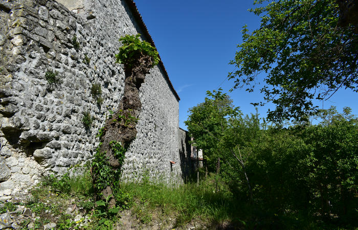 Castello di Zovencedo in alta Val Liona nei Colli Berici