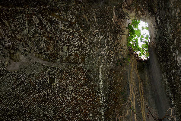 Priare pietra di Zovencedo e San Gottardo, alta Val Liona Valle del Gazzo, Monti Berici