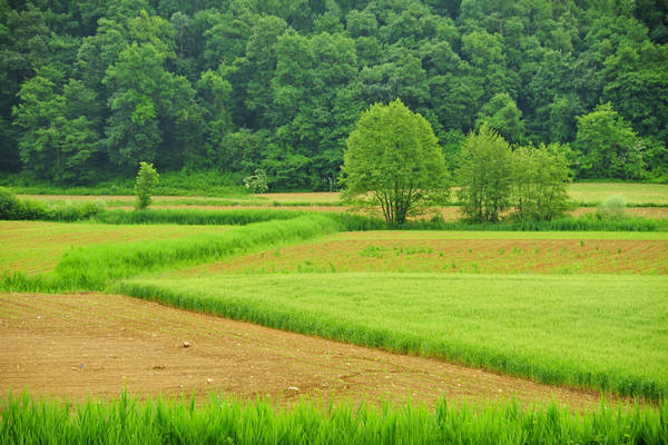 Arcugnano, passeggiata Sant'Agostino Zanchi Perarolo Salve Regina Valmarana