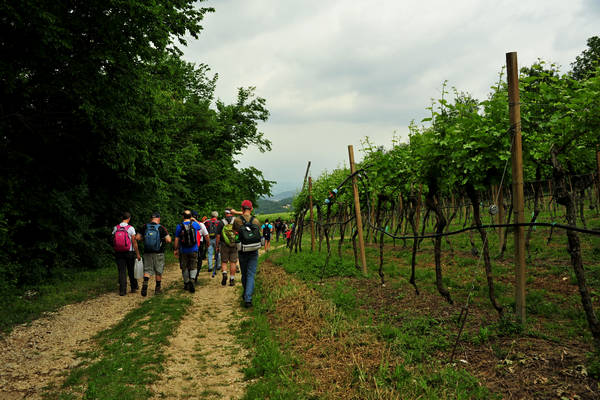 Arcugnano, passeggiata Sant'Agostino Zanchi Perarolo Salve Regina Valmarana